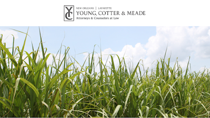 Young, Cotter & Meade, LLC