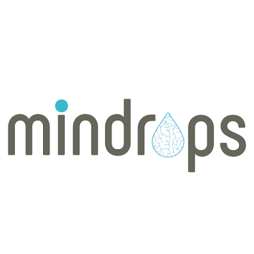 Beoordelingen van Mindrops - Webdesign Bureau Belgie in Vilvoorde - Webdesign