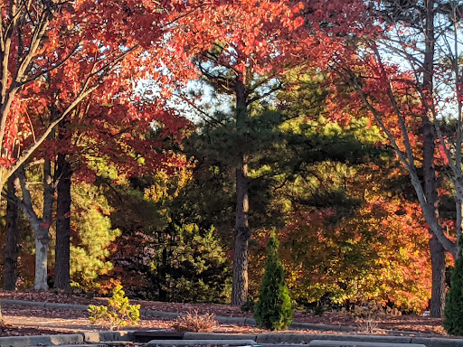 Health Food Store «A & S Natural Health», reviews and photos, 1559 Hanes Mall Blvd, Winston-Salem, NC 27103, USA