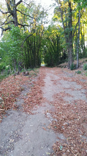 Bassins à Beauvallon