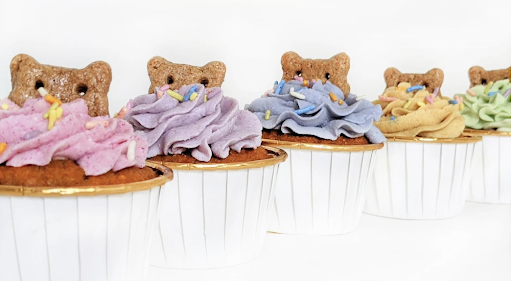 Pet Store «District Dog - A General Store for Pets», reviews and photos, 142 Driggs Ave, Brooklyn, NY 11222, USA