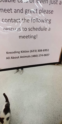Pet Supply Store «Petco Animal Supplies», reviews and photos, 2784 W Peoria Ave, Phoenix, AZ 85029, USA