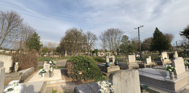 Katolikus temető - Temetkezési vállalkozás