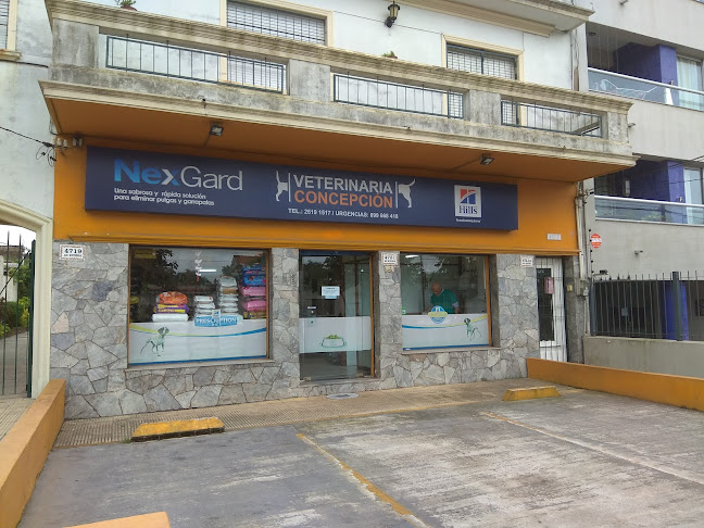 Opiniones de Veterinaria Concepción en Ciudad de la Costa - Veterinario