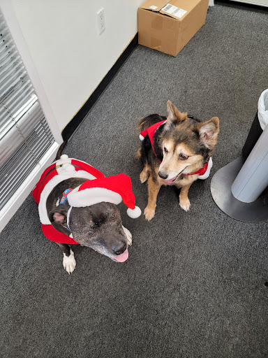 Car Repair and Maintenance «Metro Volkswagen Service Center», reviews and photos, 2400 N Story Rd, Irving, TX 75062, USA