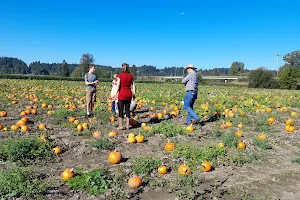 Schilter Family Farm image