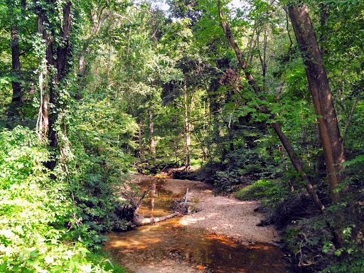 Park «Walker Mill Regional Park», reviews and photos, 8840 Walker Mill Rd, District Heights, MD 20747, USA