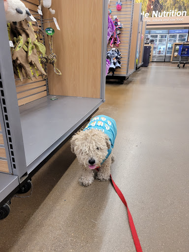 Pet Supply Store «PetSmart», reviews and photos, 160 Wadsworth Blvd, Lakewood, CO 80226, USA