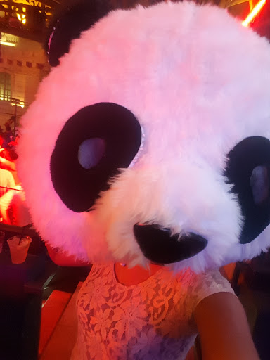 Night Club «Chateau Night Club», reviews and photos, 3655 S Las Vegas Blvd, Las Vegas, NV 89109, USA