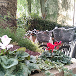 Photo n°13 de l'avis de Monica.o fait le 27/11/2018 à 12:20 sur le  Hotel Riva à Alassio