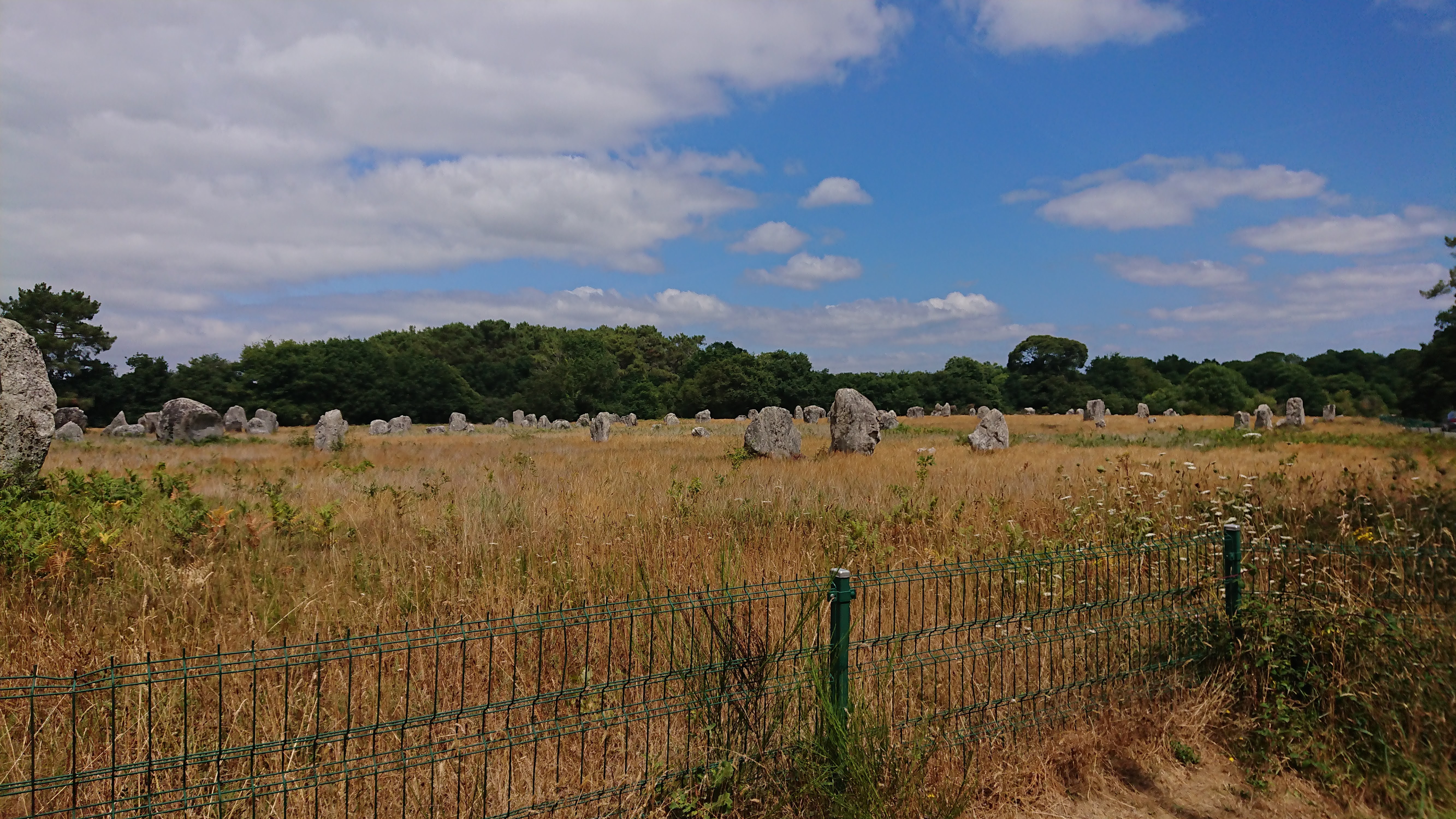Photo n° 19 de l'avis de Aléane.T fait le 21/07/2022 à 15:37