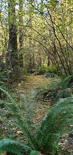 Lodge «Anderson Lodge», reviews and photos, 12025 Lewis River Rd, Ariel, WA 98603, USA