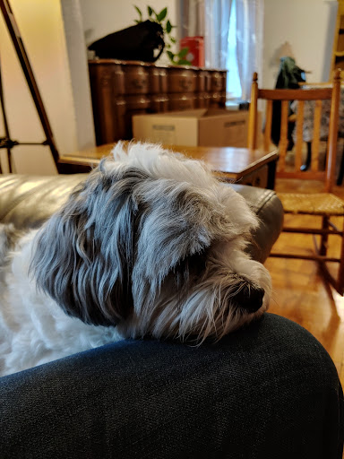 Pet Store «Pet Express», reviews and photos, 100 Independence Way, Danvers, MA 01923, USA