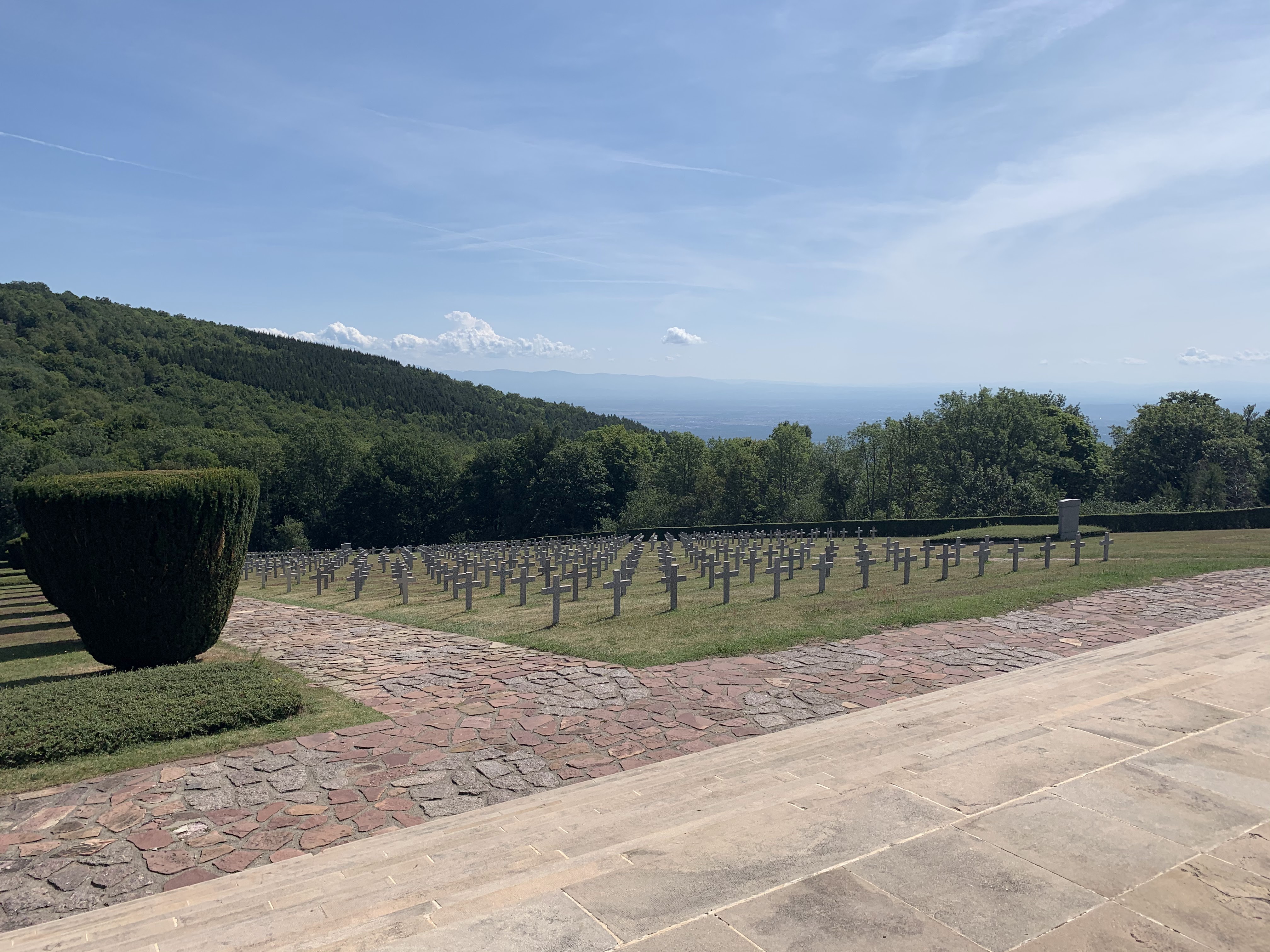 Photo n° 1 de l'avis de Emilia.H fait le 16/08/2020 à 15:19