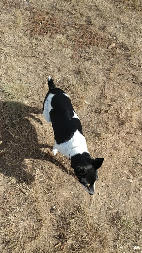 Dog Park «Trail Winds Dog Park», reviews and photos, 13385 Holly St, Thornton, CO 80241, USA