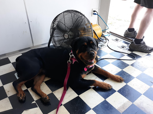 Tourist Attraction «Empire Dragway», reviews and photos, 2011 New Rd, Leicester, NY 14481, USA