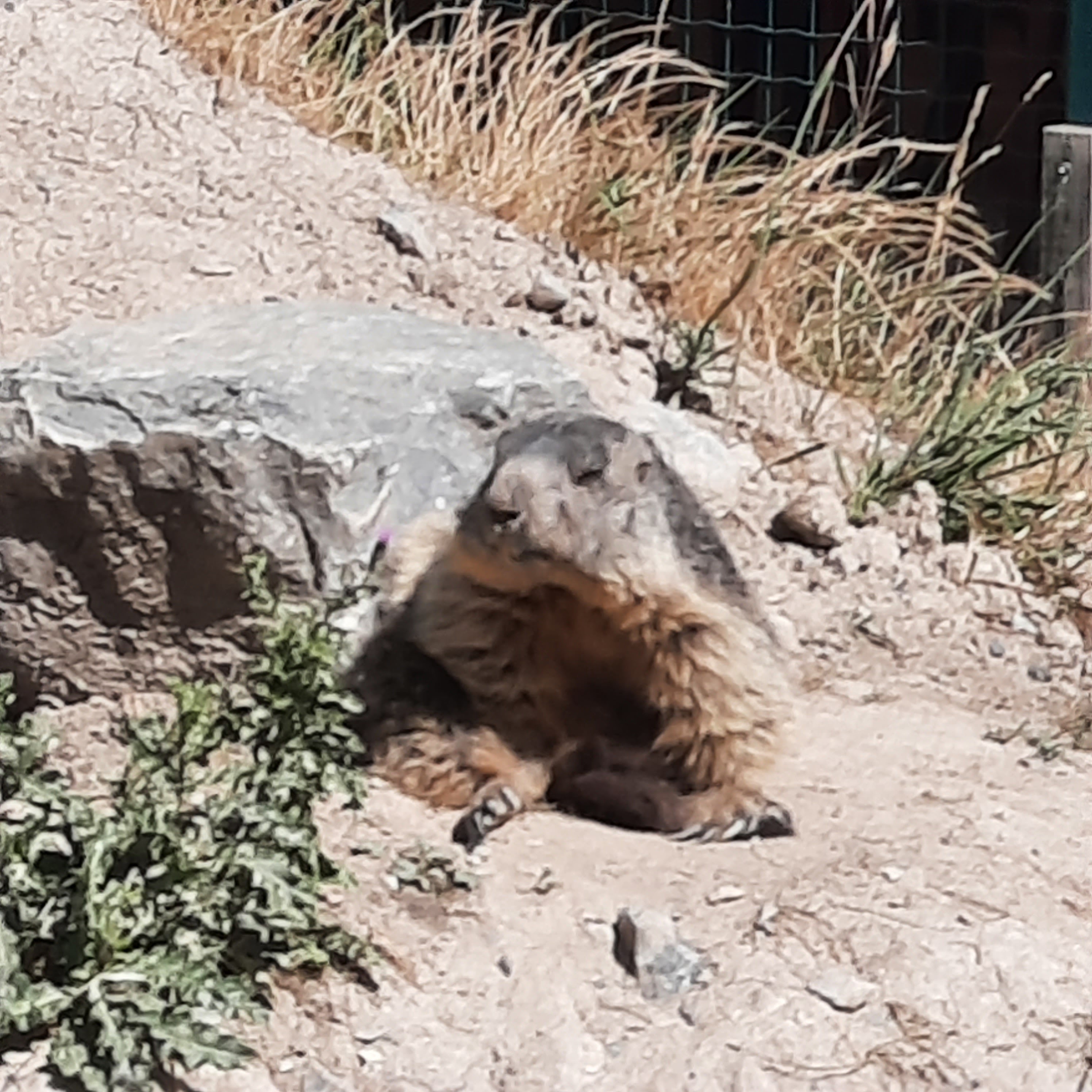 Photo n° 3 de l'avis de Caro66.l fait le 27/06/2022 à 06:06