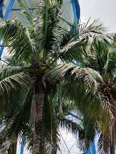 Tourist Attraction «IMAG History & Science Center (formerly Imaginarium Science Center)», reviews and photos, 2000 Cranford Ave, Fort Myers, FL 33916, USA