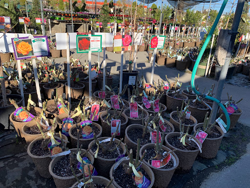 Plant Nursery «San Gabriel Nursery & Florist», reviews and photos, 632 S San Gabriel Blvd, San Gabriel, CA 91776, USA
