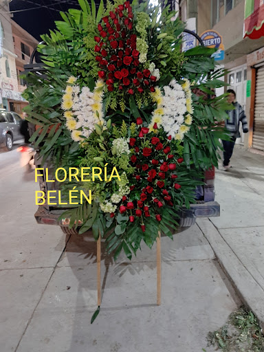 Florería Belén – San Luis de la Paz