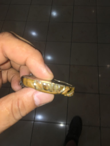 Jeweler «Shalimar Custom Jewelers», reviews and photos, 255 Westshore Plaza C-17, Tampa, FL 33609, USA