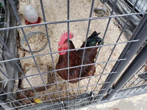 Department Store «Rural King», reviews and photos, 1203 Front Ave SW, New Philadelphia, OH 44663, USA