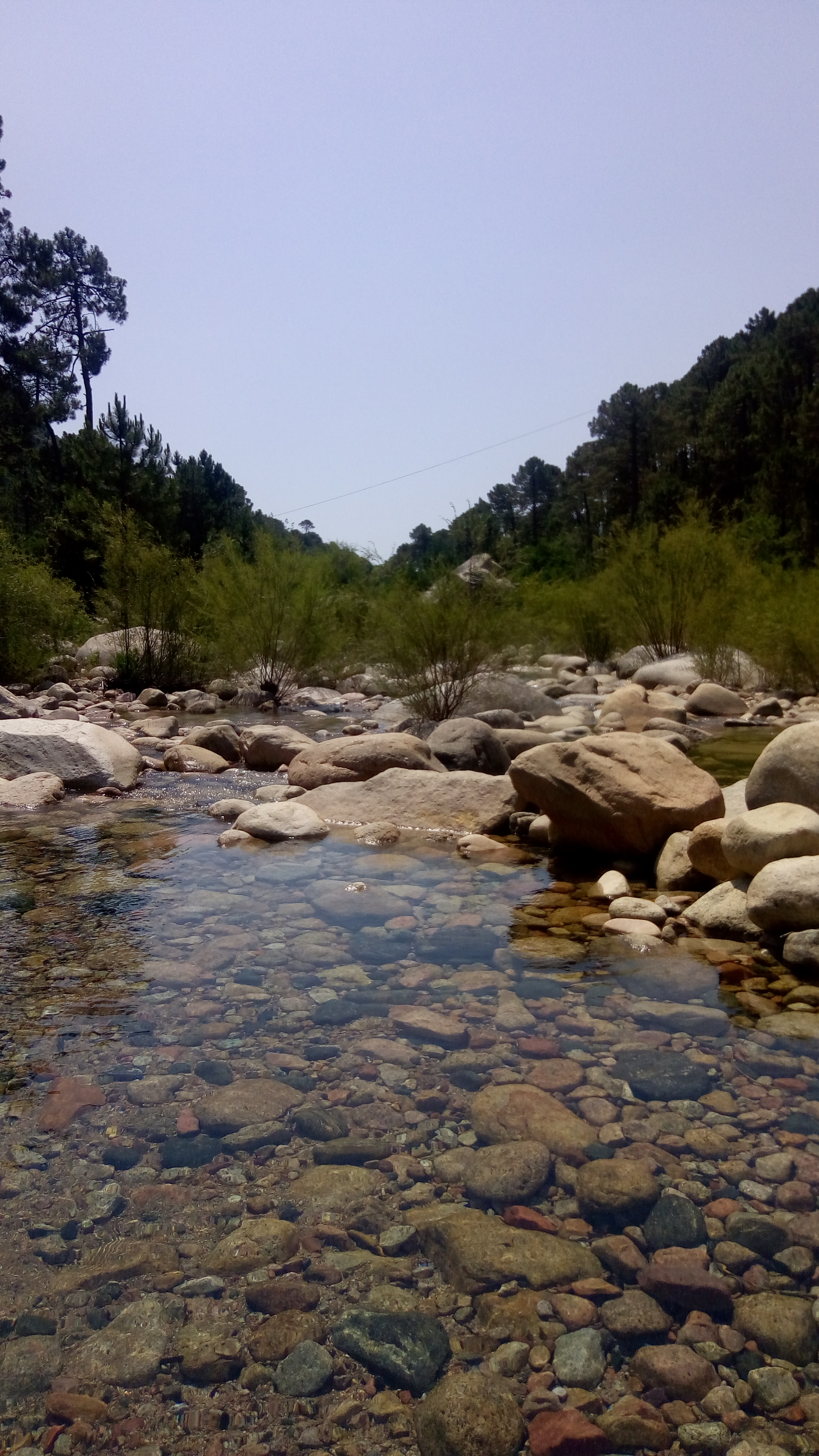Photo n° 1 de l'avis de Sansan.i fait le 14/08/2020 à 16:12