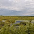 Bitzke Bird Walk and Wildlife Refuge