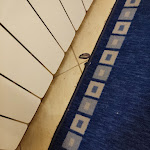 Photo n°4 de l'avis de Eliana.r fait le 08/04/2023 à 22:55 sur le  Tana Dell'Orso à Ponsacco