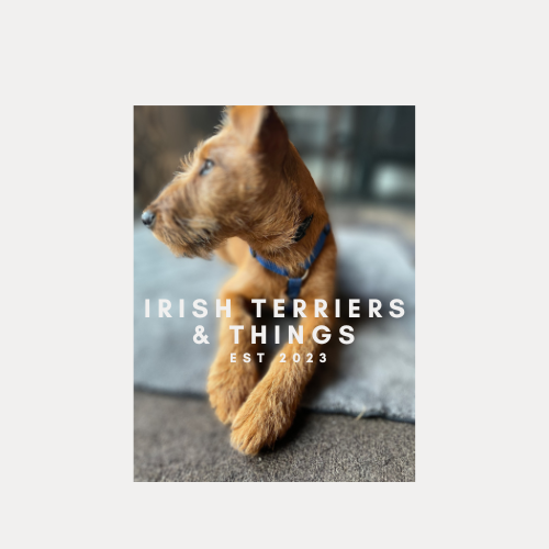 Irish Terriers & Things