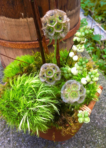 Florist «Guilford White House Florist», reviews and photos, 966 Boston Post Rd, Guilford, CT 06437, USA