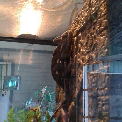 Pet Supply Store «Powell Bros. Feed & Pet Supply», reviews and photos, 1895 Broadway St, Vallejo, CA 94589, USA