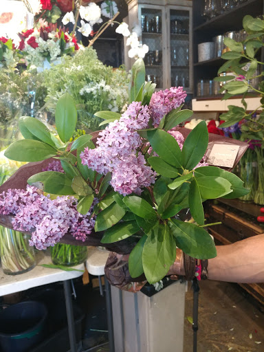 Florist «fLorEsta», reviews and photos, 51-02 Vernon Blvd, Long Island City, NY 11101, USA