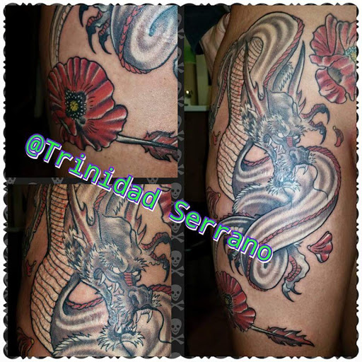 Explore arm tattoo ideas for females, creative tattoo ideas in Cheyenne, available at The T.R.I.B.E. Zoo, LLC Tattoo