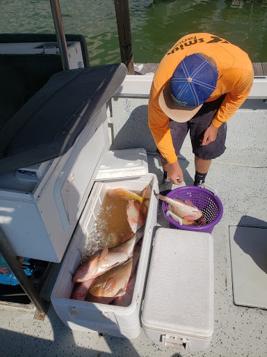 Fishing Charter «Bent Charters Offshore Fishing», reviews and photos, 503 150th Ave, Madeira Beach, FL 33708, USA
