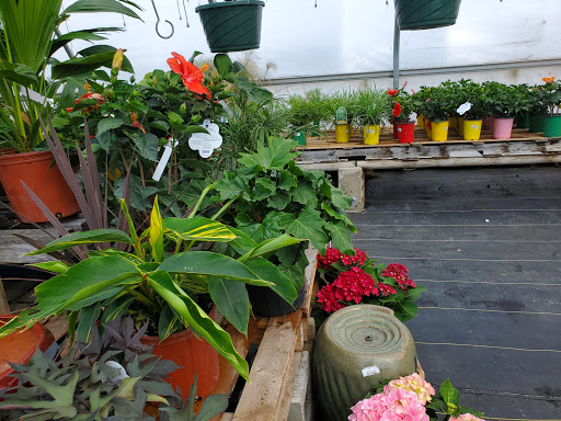 Garden Center «Beachside Gardens & Gifts», reviews and photos, 3725 US-12, Michigan City, IN 46360, USA