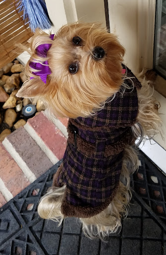 Pet Store «PetSmart», reviews and photos, 6545 North Grand Parkway West Suite 104, Spring, TX 77389, USA