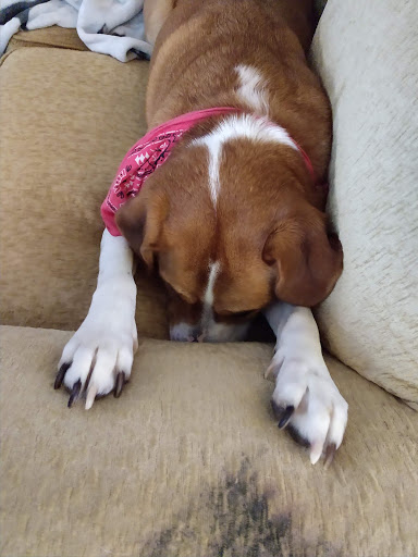 Home Improvement Store «The Home Depot», reviews and photos, 400 Commerce Blvd, Fairless Hills, PA 19030, USA