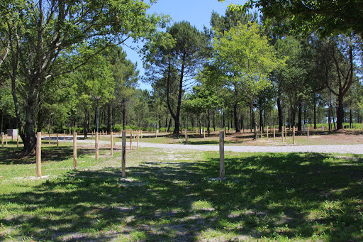 Photo 3 - Aire de Camping-Cars municipal de Castets