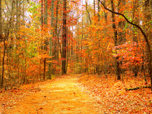 National Park «Kennesaw Mountain National Battlefield Park», reviews and photos, 900 Kennesaw Mountain Dr, Kennesaw, GA 30188, USA