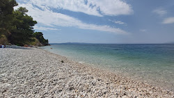 Dracevac Beach'in fotoğrafı ve yerleşim