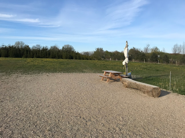 Greve skov og hundeskov - Træningscenter