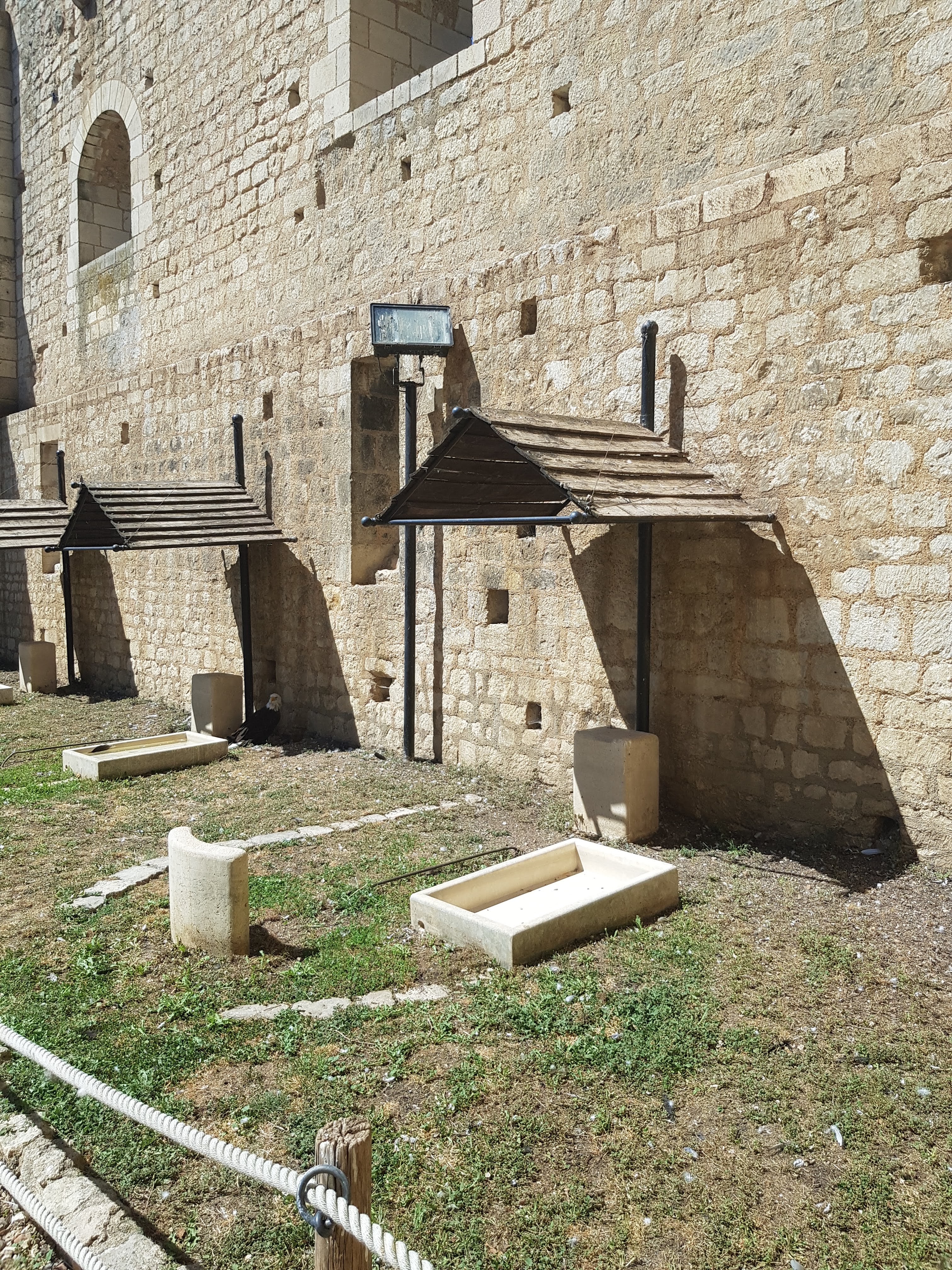 Photo n° 19 de l'avis de La.� fait le 10/08/2022 à 18:06
