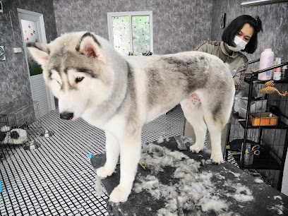CAT​ & DOG Grooming House​
