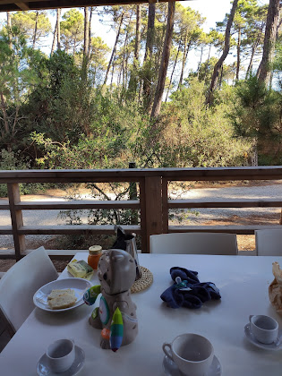 Plats et boissons Camping avec cabanes PuntAla Camp & Resort - Glamping | Bungalow | Camping Toscana 58043 Punta Ala