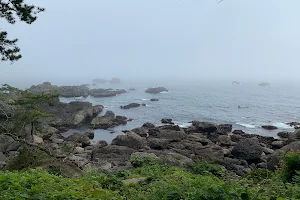 Yodo-no-matsubara yūhodō trail image