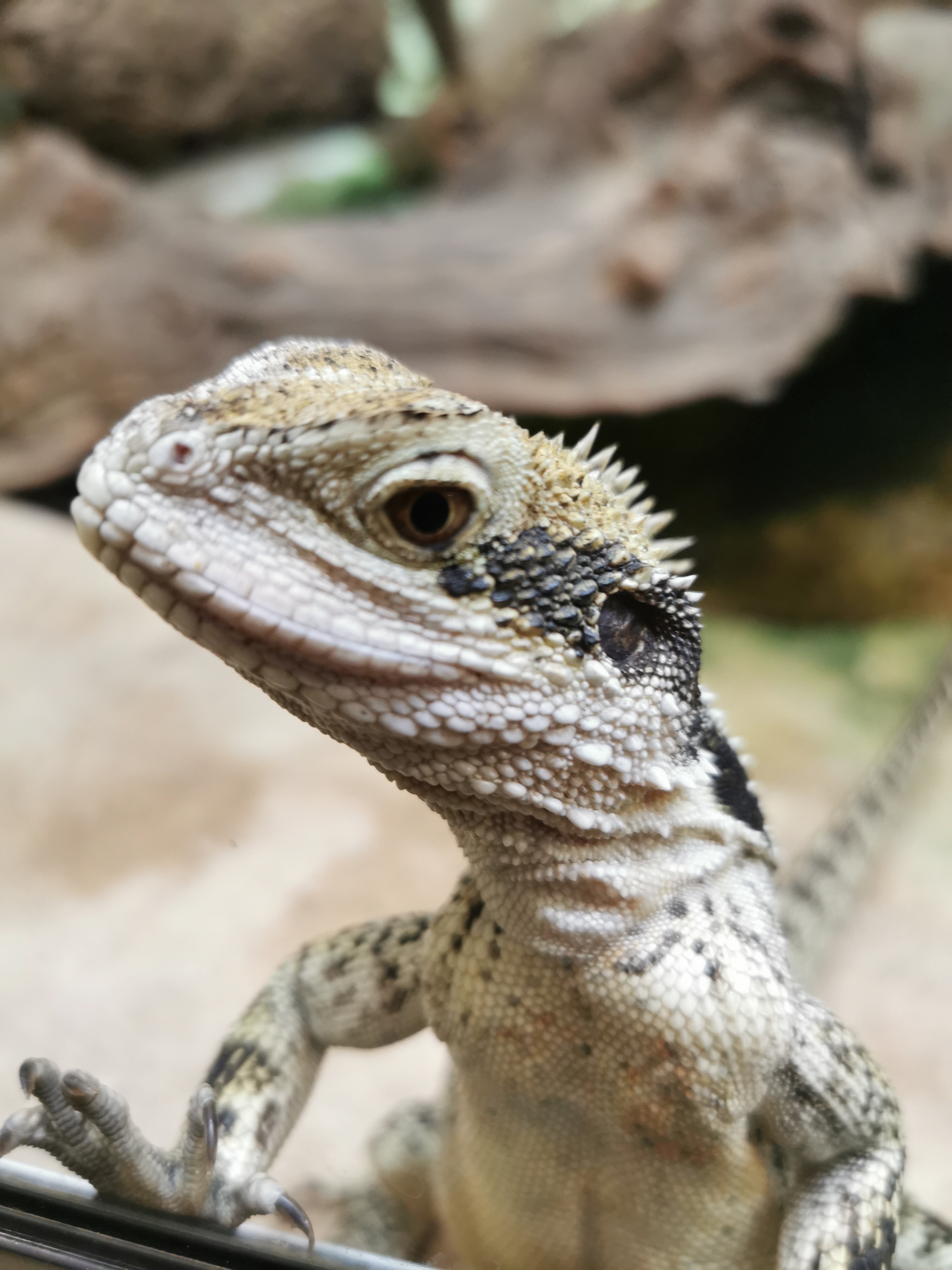 Photo n° 4 de l'avis de Philippe.i fait le 26/05/2023 à 16:03