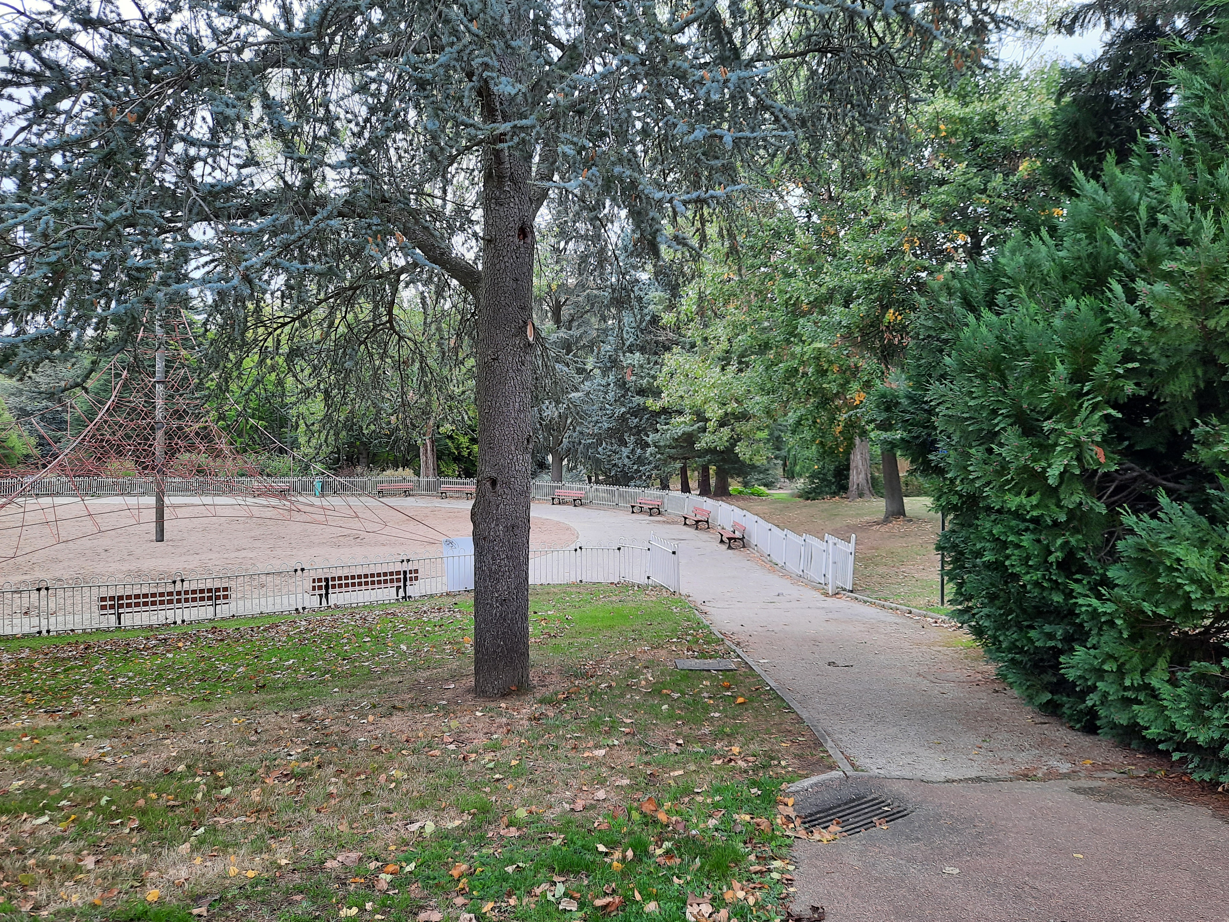 Photo n° 11 de l'avis de Benjamin.e fait le 25/09/2020 à 19:51