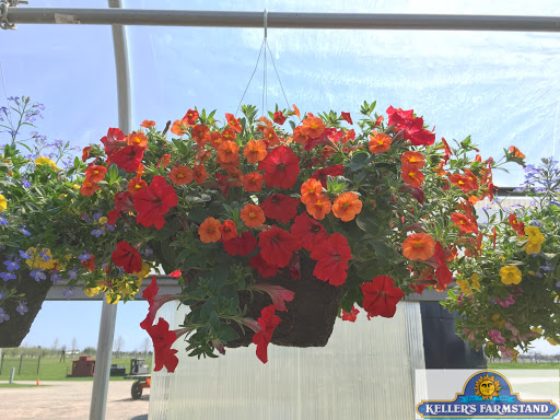 Farm «Kellers Farmstand», reviews and photos, 2500 Johnson Rd, Oswego, IL 60543, USA