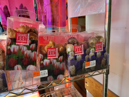 Discount Store «Ocean State Job Lot», reviews and photos, 133 River Rd, Canton, CT 06019, USA